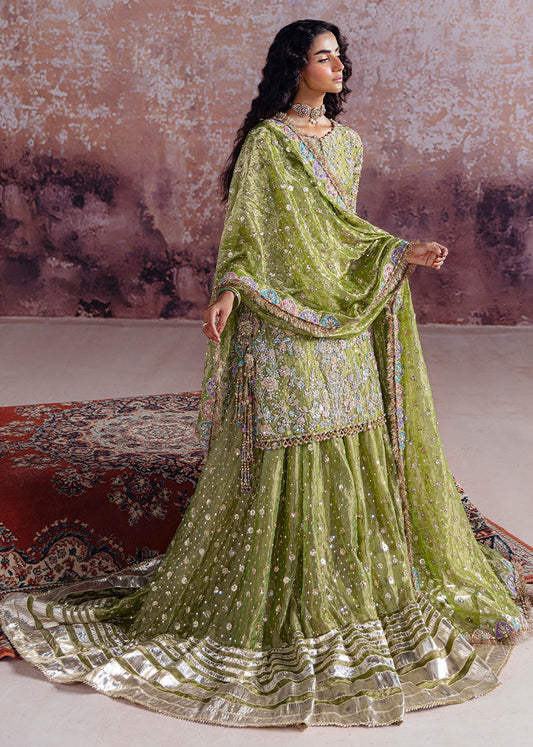 Sara Rohale Asghar (SHADAN)