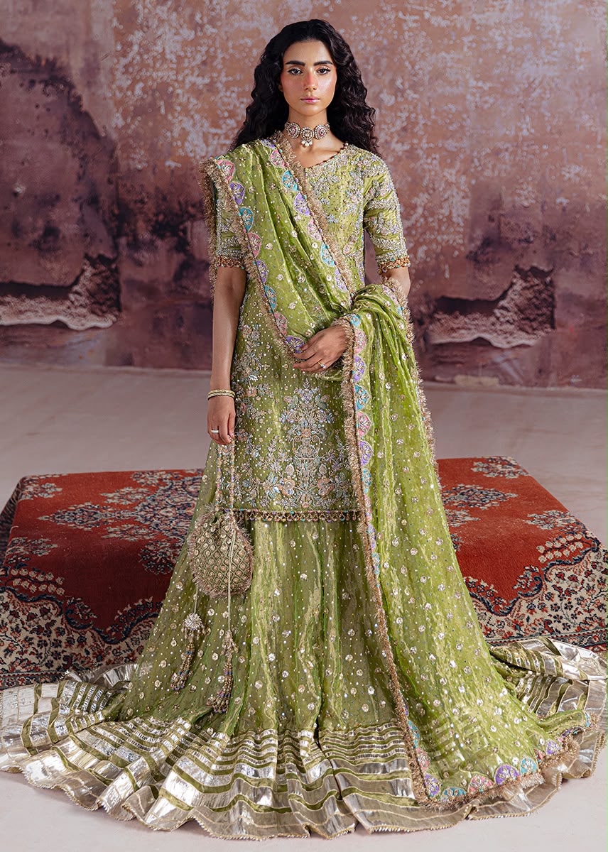 Sara Rohale Asghar (SHADAN)