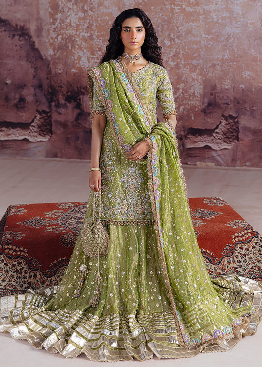 Sara Rohale Asghar (SHADAN)
