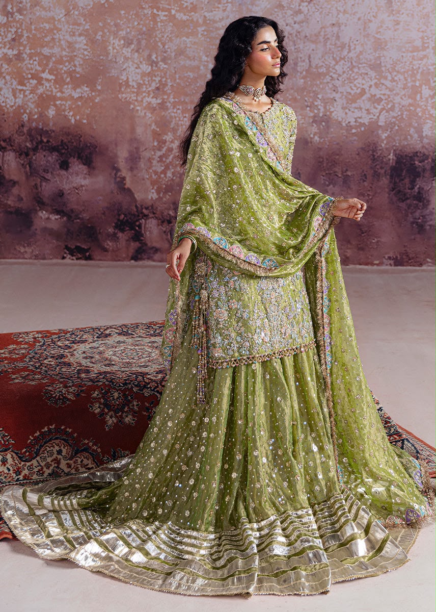 Sara Rohale Asghar (SHADAN)